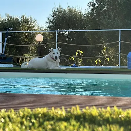 Frühstückspension Mareulivi Ostuni