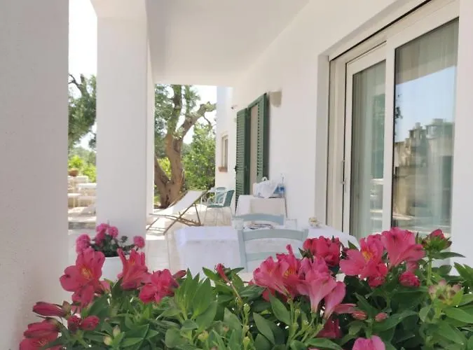 Bed & Breakfast Mareulivi