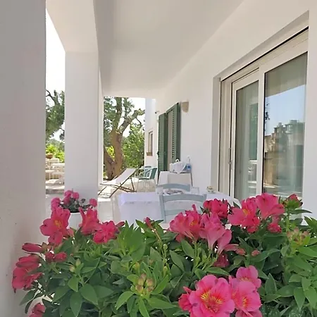Mareulivi Bed and breakfast