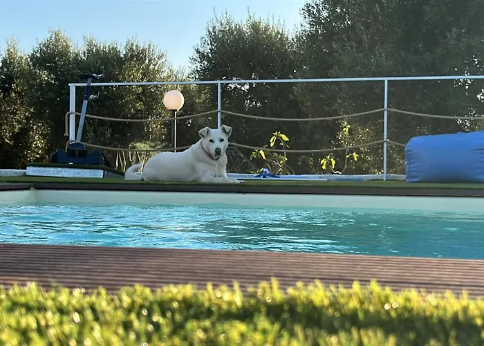 Alojamento de Acomodação e Pequeno-almoço Mareulivi Ostuni